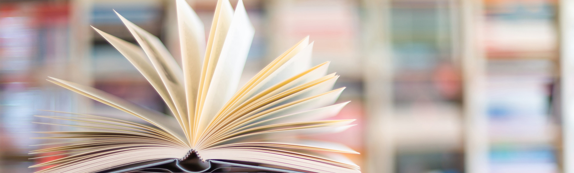 Internet / Bücher
